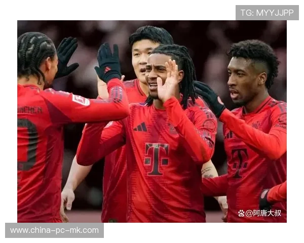 德甲主场积分榜深度解读：拜仁强势领跑，多特主场不败